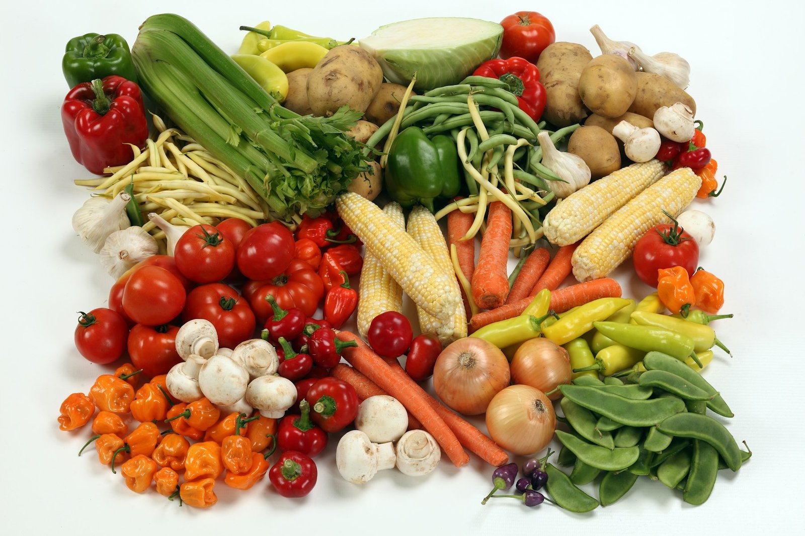 Manger de saison : le panier simple de l’automne